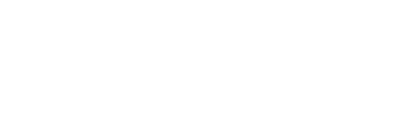 Adobe Solutions Partner